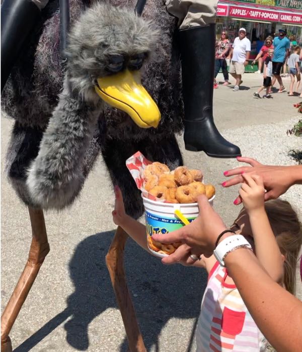 safari sam and oscar the ostrich